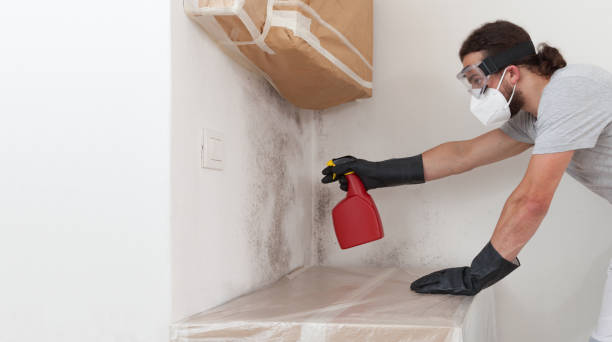 Professional Crawl Space Mold Remediation technician working in Saluda, VA