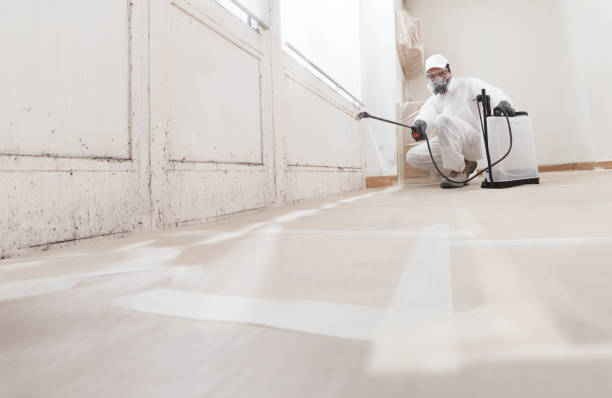 24/7 Emergency Crawl Space Mold Remediation experts in Saluda, VA
