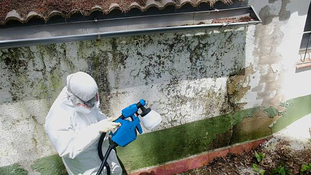 Top rated local Crawl Space Mold Remediation specialists in Saluda, VA
